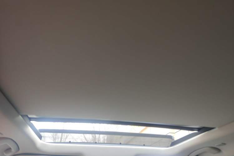 Used Nissan X-Trail 2021 VC-Turbo 300 CVT 2WD Luxury Edition Headliner