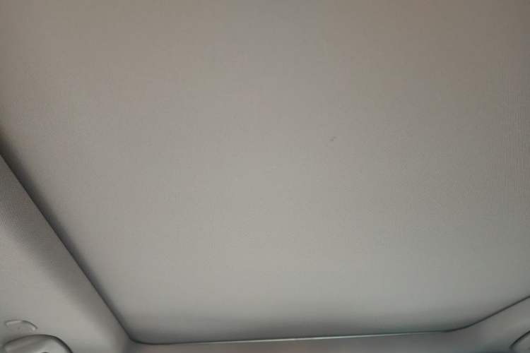 Used Nissan X-Trail 2021 VC-Turbo 300 CVT 4WD Luxury Edition Headliner