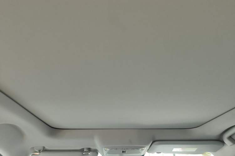Used Nissan X-Trail 2021 2.5L CVT 4WD XL ITS Luxury Commemorative Edition Headliner