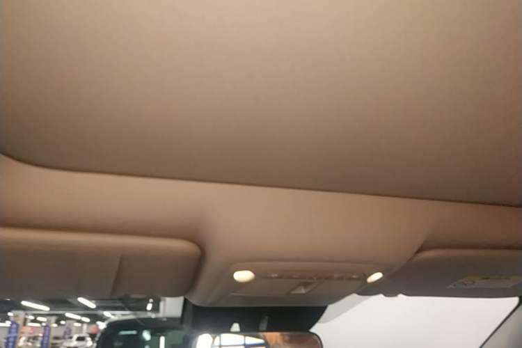 Used Nissan X-Trail 2021 2.0L CVT 2WD XL Premium Commemorative Edition Headliner