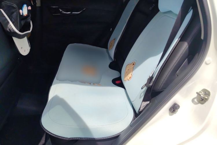 Used Nissan X-Trail 2021 2.0L CVT 2WD XL ITS Comfort Commemorative Edition Left Rear Seat