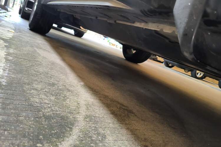 Used Nissan X-Trail 2021 2.0L CVT 2WD XL Premium Commemorative Edition Right Side Sill