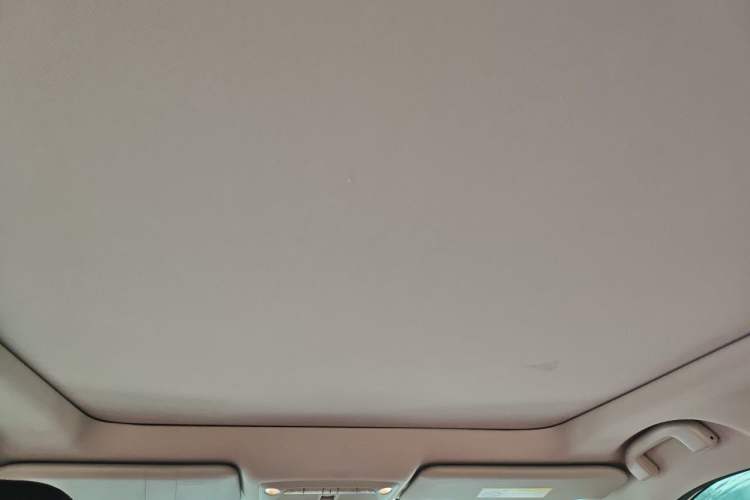 Used Nissan X-Trail 2022 Revised Version 2.0L Two-Wheel Drive Smart Connect Premium Edition Headliner