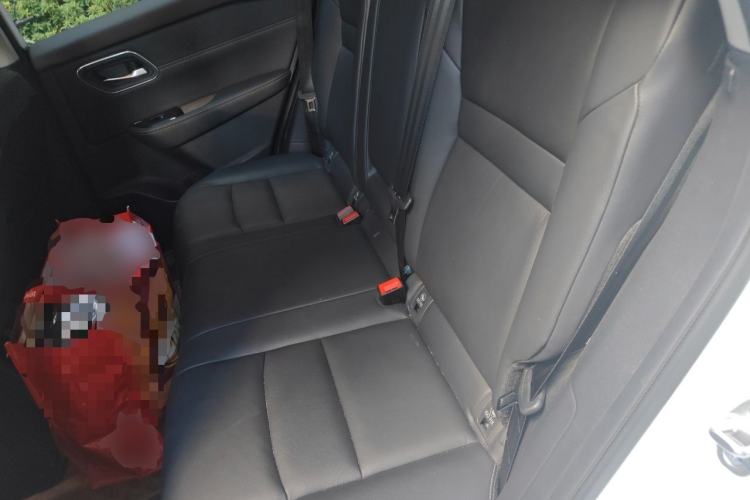 Used Nissan X-Trail 2023 e-POWER Ultra-Hybrid Dual-Motor All-Wheel-Drive Supreme Edition Left Rear Seat
