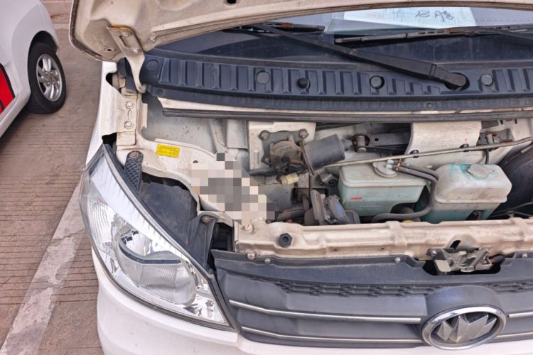 Used Nlmmotor Qiteng M70EV 2020 M70L-EV Long-Range Version Engine Bay Right