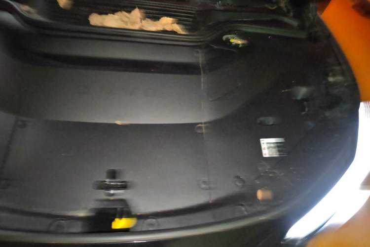 Used ONVO L60 2024 60 kWh Rear-Drive Version Engine Bay Left