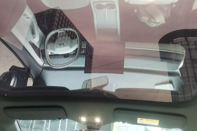 Used ONVO L60 2024 60 kWh Rear-Drive Version Headliner