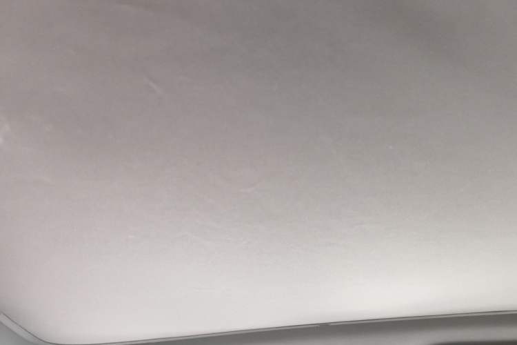 Used ONVO L60 2024 60 kWh Rear-Drive Version Headliner