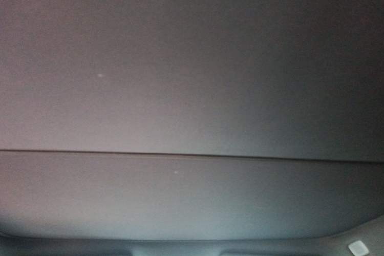 Used ONVO L60 2024 60 kWh Rear-Drive Version Headliner