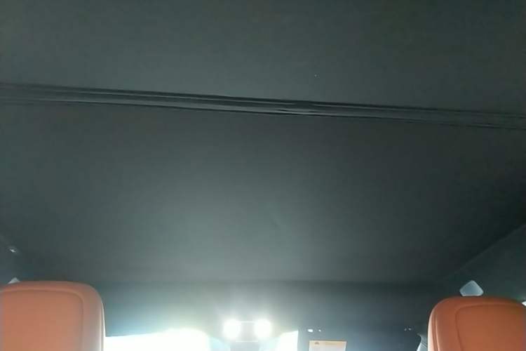 Used ONVO L60 2024 60 kWh Rear-Drive Version Headliner