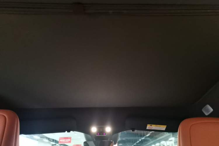 Used ONVO L60 2024 60 kWh Rear-Drive Version Headliner