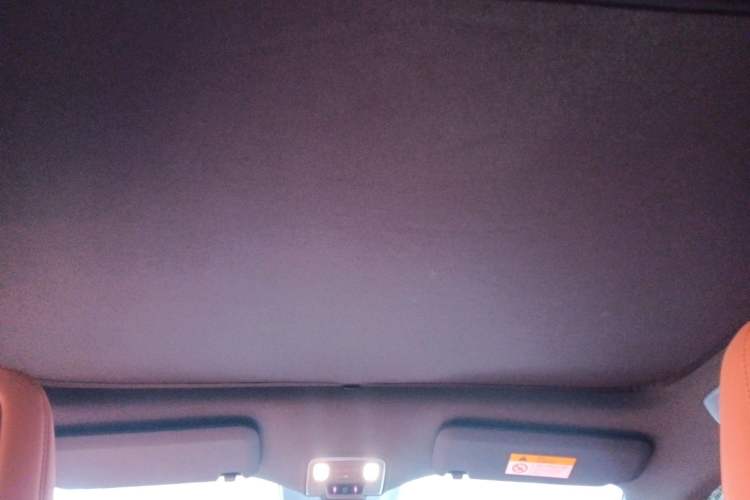 Used ONVO L60 2024 60 kWh All-Wheel Drive Headliner