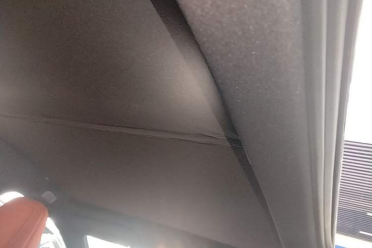 Used ONVO L60 2024 60 kWh Rear-Drive Version Headliner