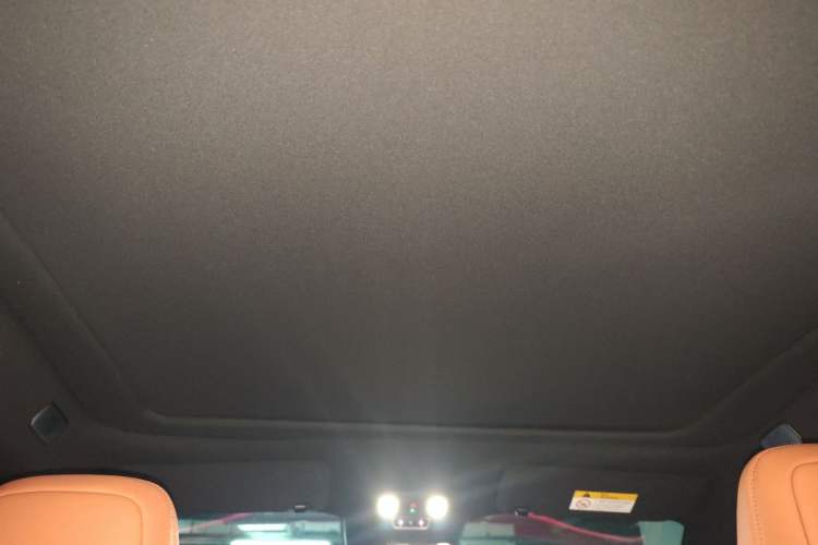 Used ONVO L60 2024 60 kWh Rear-Drive Version Headliner