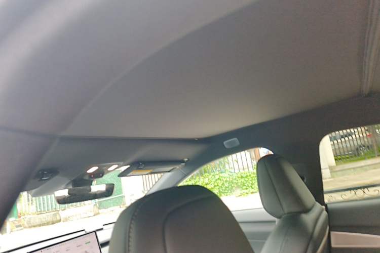 Used ONVO L60 2024 60 kWh Rear-Drive Version Headliner
