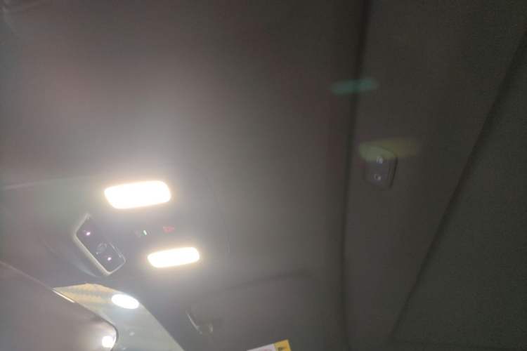 Used ONVO L60 2024 60 kWh Rear-Drive Version Headliner
