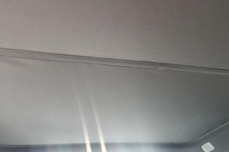 Used ONVO L60 2024 60 kWh Rear-Drive Version Headliner