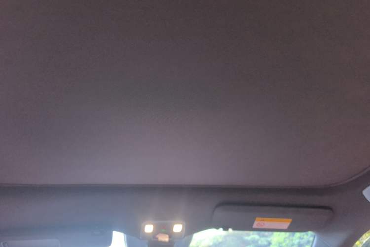 Used ONVO L60 2024 60 kWh Rear-Drive Version Headliner