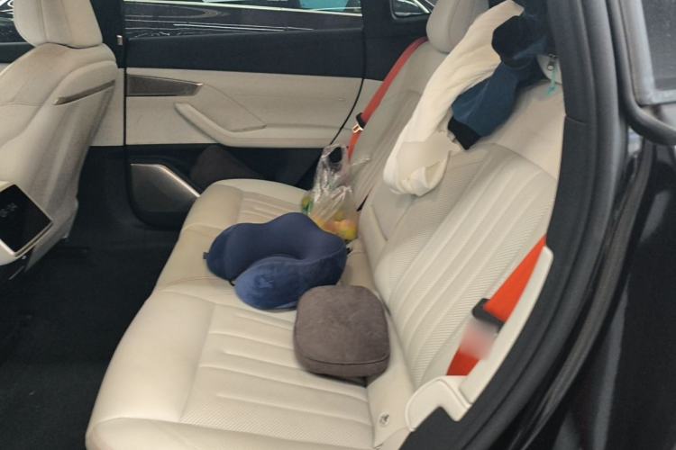 Used ONVO L60 2024 60 kWh Rear-Drive Version Left Rear Seat