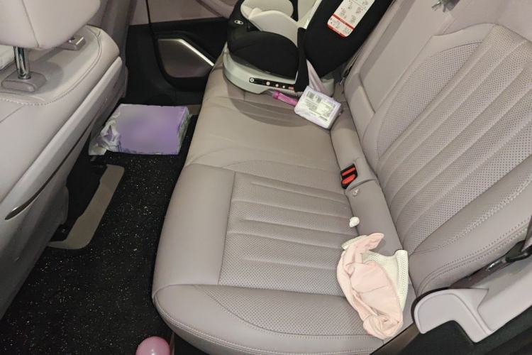 Used ONVO L60 2024 60 kWh Rear-Drive Version Left Rear Seat