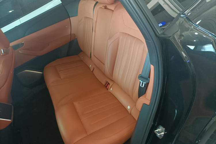 Used ONVO L60 2024 60 kWh Rear-Drive Version Left Rear Seat