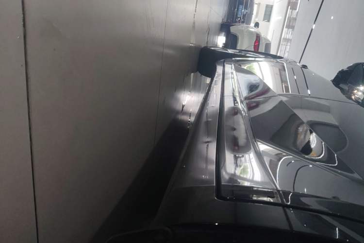 Used ONVO L60 2024 60 kWh Rear-Drive Version Left Side Sill