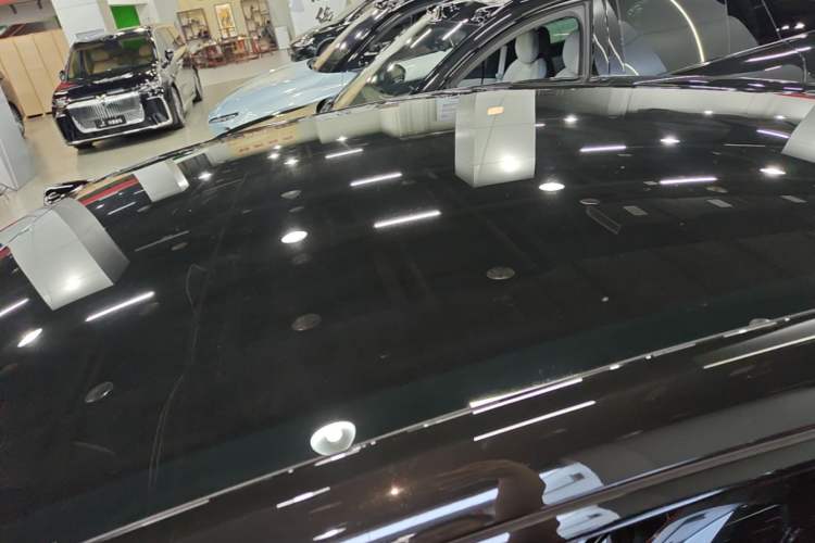 Used ONVO L60 2024 60 kWh Rear-Drive Version Roof