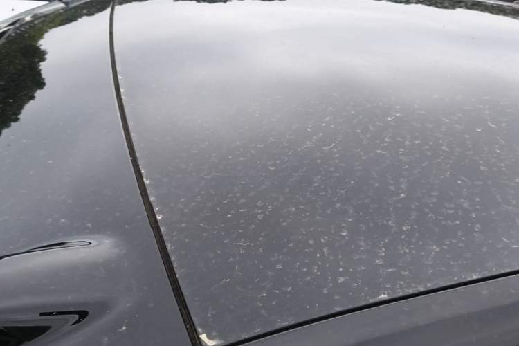 Used ONVO L60 2024 60 kWh Rear-Drive Version Roof