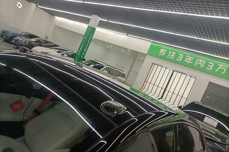 Used ONVO L60 2024 60 kWh Rear-Drive Version Roof