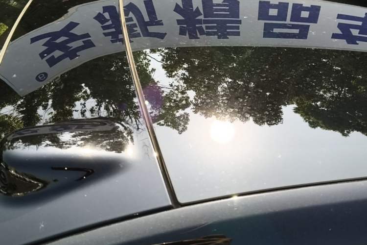 Used ONVO L60 2024 60 kWh Rear-Drive Version Roof