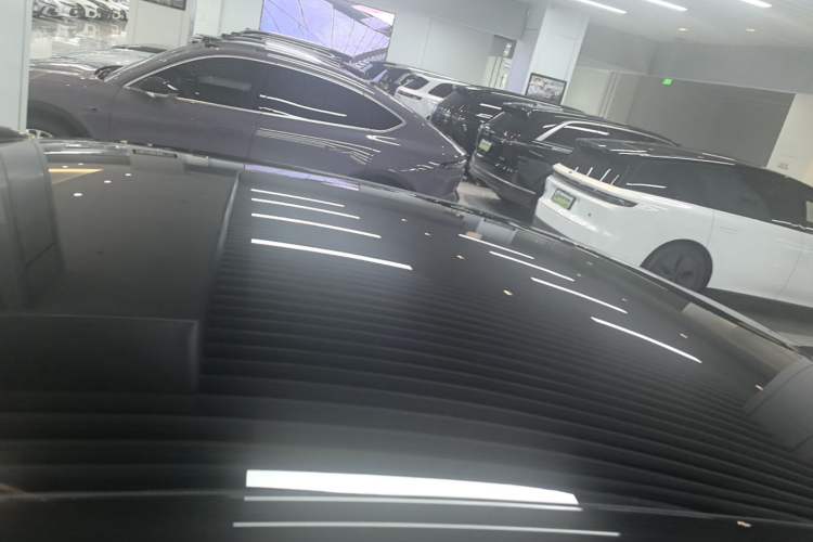 Used ONVO L60 2024 60 kWh Rear-Drive Version Roof