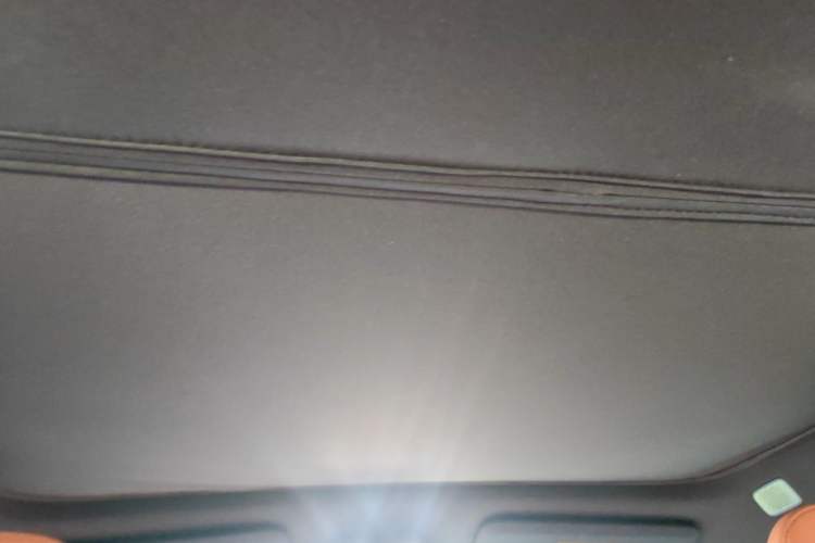 Used ONVO L60 2024 60 kWh Rear-Drive Version Headliner