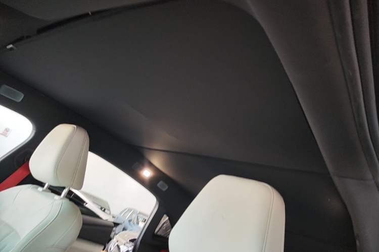 Used ONVO L60 2024 60 kWh All-Wheel Drive Headliner