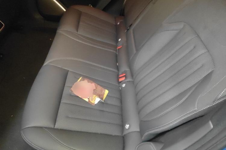Used ONVO L60 2024 60 kWh All-Wheel Drive Left Rear Seat