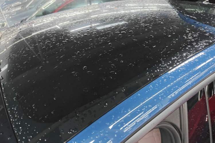 Used ONVO L60 2024 60 kWh Rear-Drive Version Roof