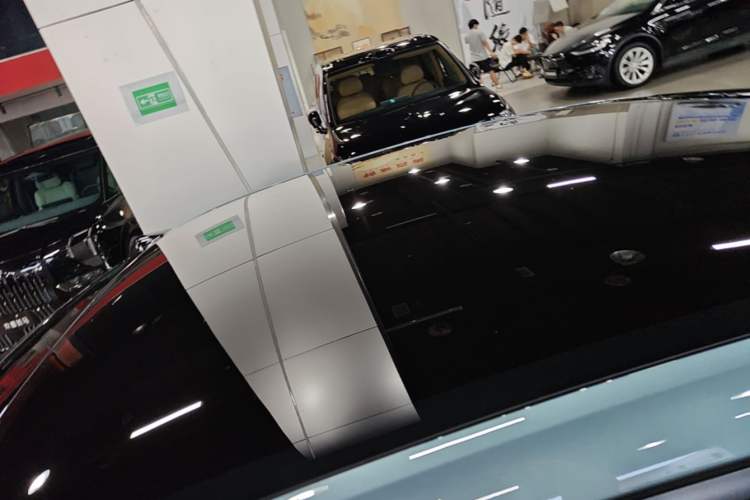Used ONVO L60 2024 60 kWh Rear-Drive Version Roof