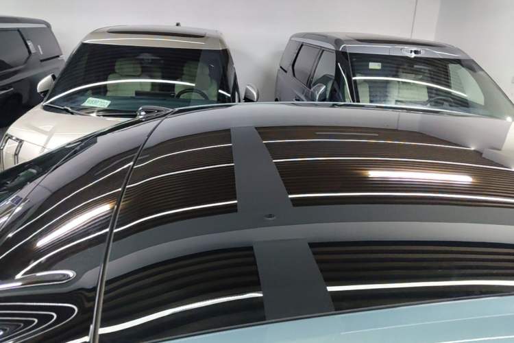 Used ONVO L60 2024 60 kWh Rear-Drive Version Roof