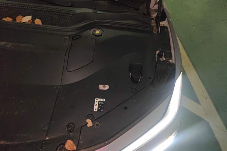 Used ONVO L60 2024 60 kWh Rear-Drive Version Engine Bay Left