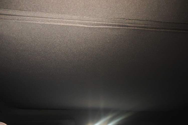 Used ONVO L60 2024 60 kWh Rear-Drive Version Headliner