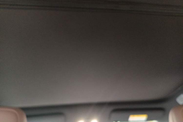 Used ONVO L60 2024 60 kWh Rear-Drive Version Headliner