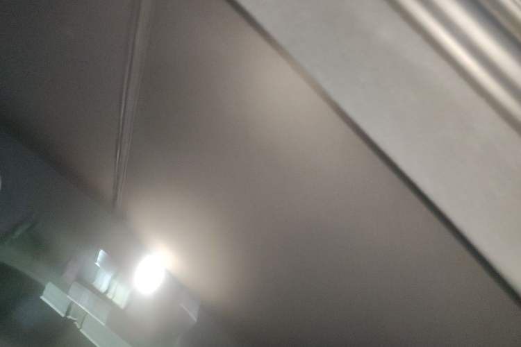 Used ONVO L60 2024 60 kWh Rear-Drive Version Headliner