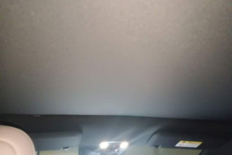 Used ONVO L60 2024 60 kWh Rear-Drive Version Headliner