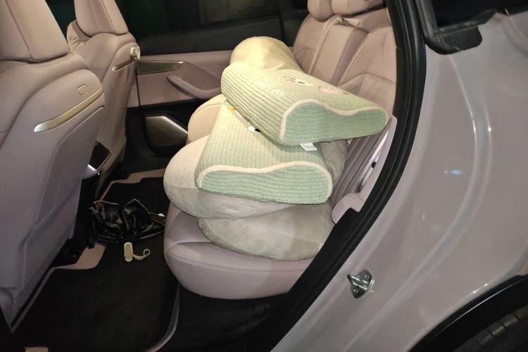 Used ONVO L60 2024 60 kWh Rear-Drive Version Left Rear Seat