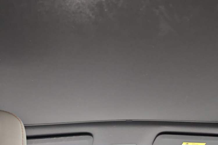 Used ONVO L60 2024 60 kWh Rear-Drive Version Headliner