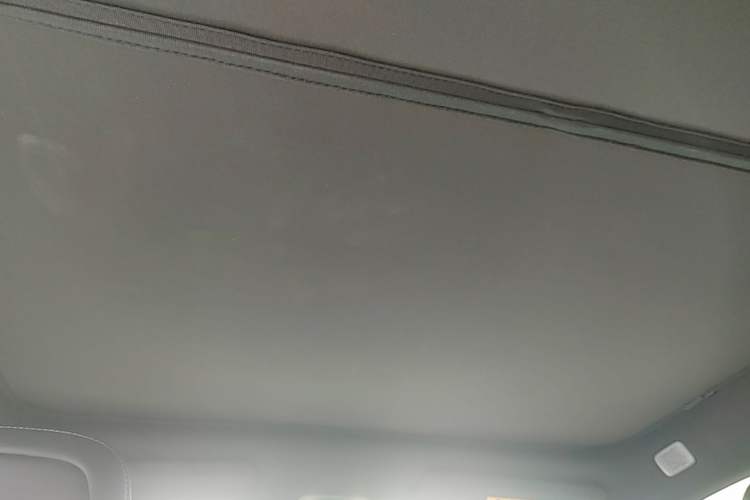 Used ONVO L60 2024 60 kWh Rear-Drive Version Headliner
