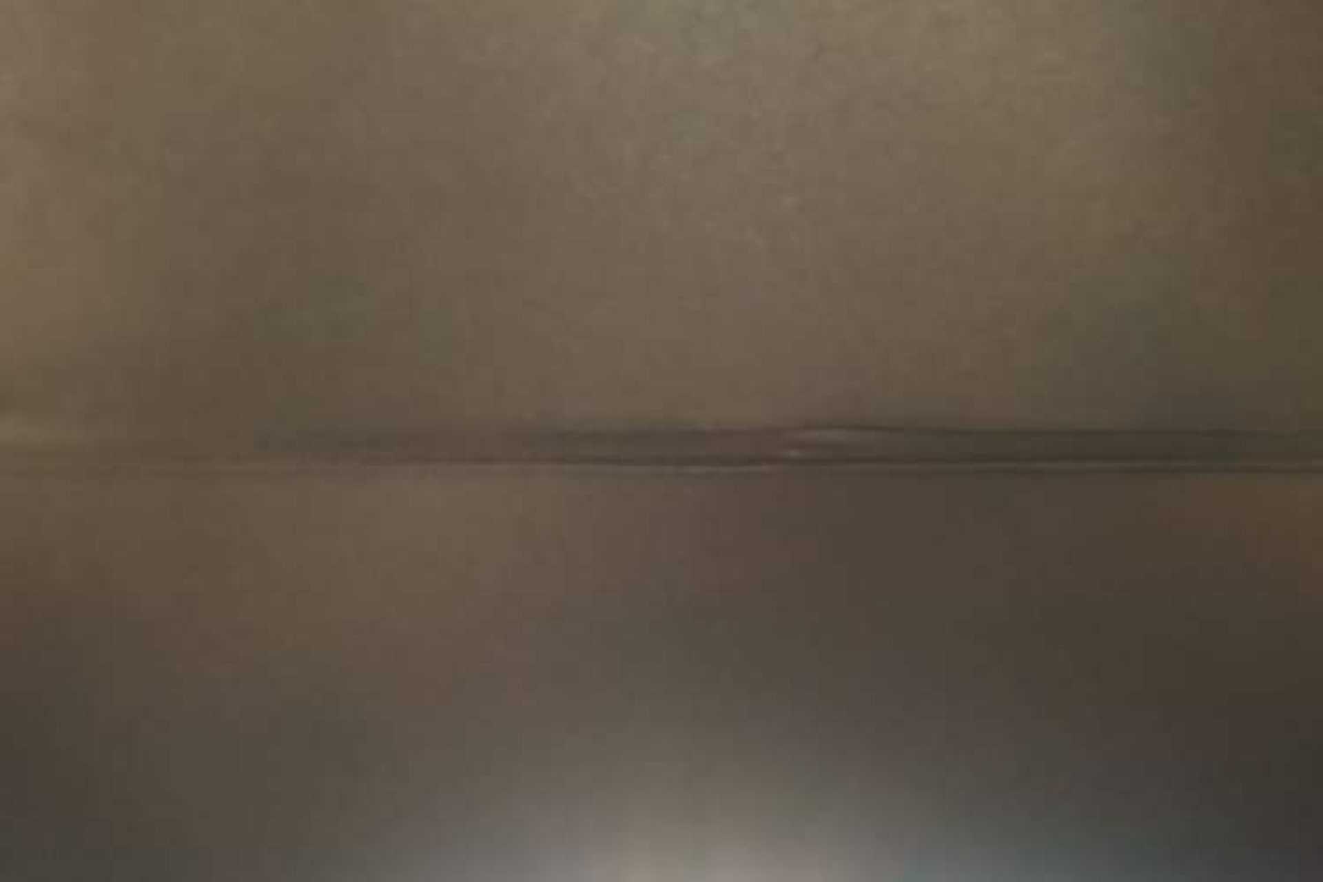 Used ONVO L60 2024 60 kWh Rear-Drive Version Headliner