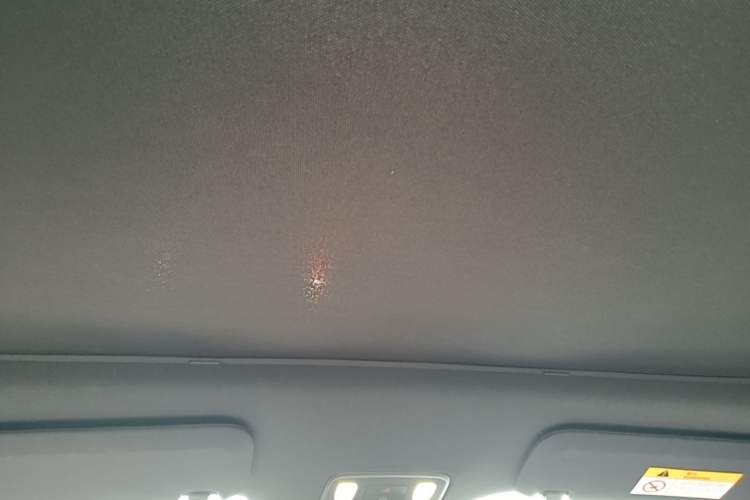 Used ONVO L60 2024 60 kWh Rear-Drive Version Headliner