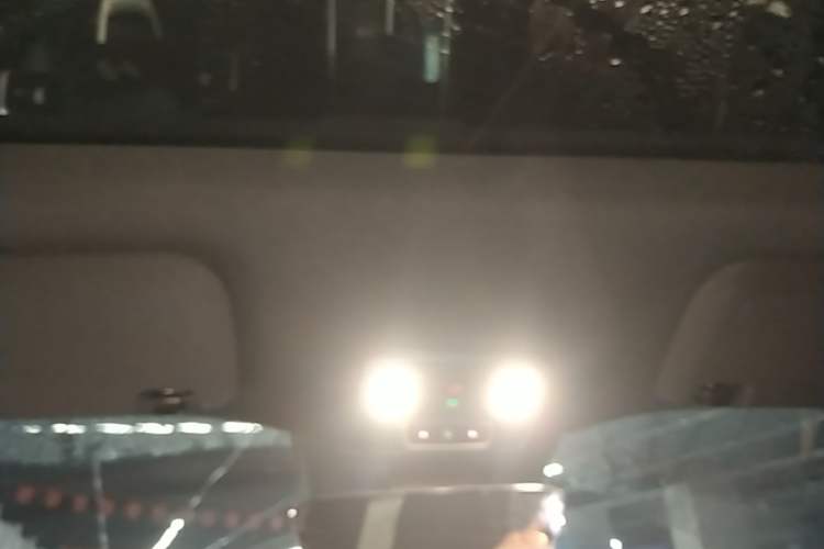 Used ONVO L60 2024 60 kWh Rear-Drive Version Headliner