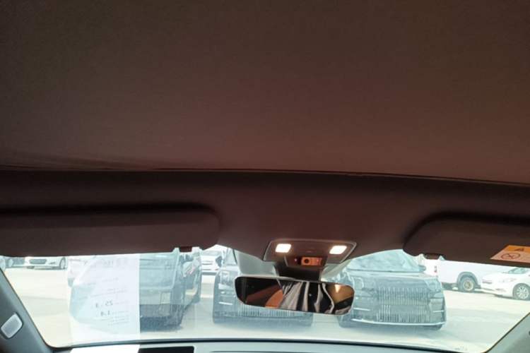 Used ONVO L60 2024 60 kWh Rear-Drive Version Headliner