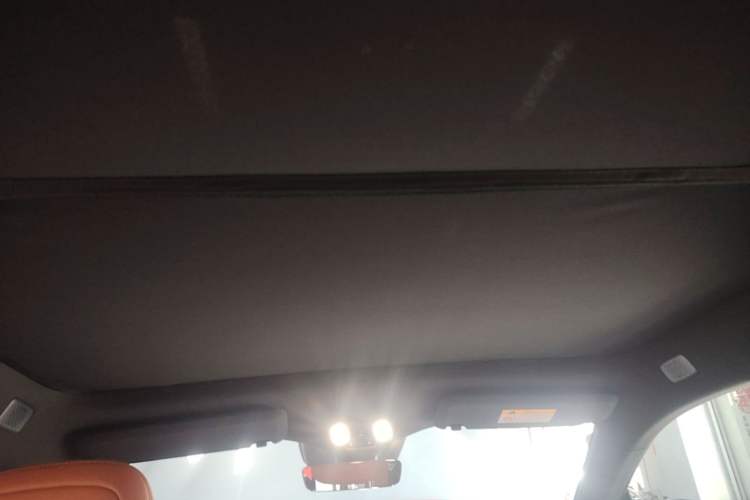 Used ONVO L60 2024 60 kWh Rear-Drive Version Headliner